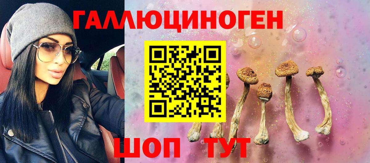 Галлюциногенные грибы Magic Shrooms Новокузнецк
